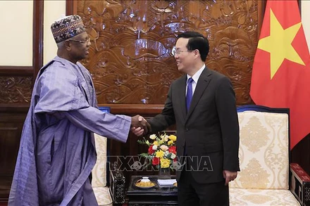 Chủ tịch nước Võ Văn Thưởng tiếp Đại sứ Nigeria Hassan Adamu Mamani. (Ảnh: TTXVN)