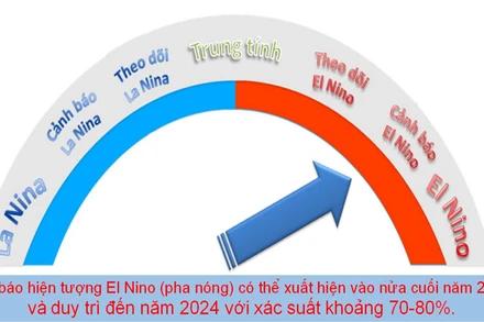 Ảnh minh họa. (Nguồn: nchmf.gov.vn)