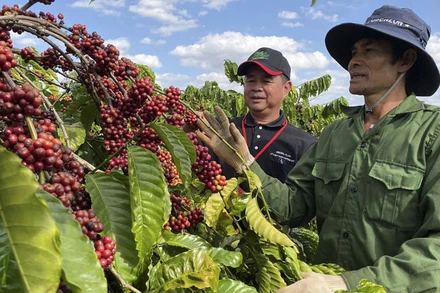 CPTPP là thị trường chủ lực của nhiều loại hàng hóa của Việt Nam.