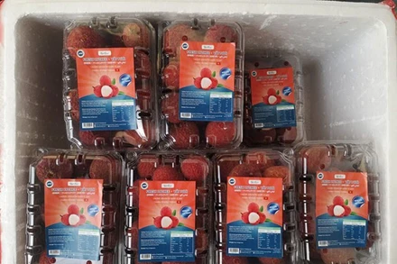 Ngày 16/6, lô vải không hạt đã về tới kho của công ty TT Meridian tại London theo quy trình Just-in-Time, bảo đảm độ tươi ngon khi đến tay người tiêu dùng.