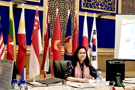 Phó Giáo sư, Tiến sĩ, Bác sĩ Trần Thị Giáng Hương. 