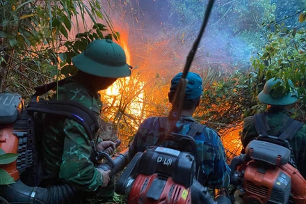 Bộ đội Biên phòng nỗ lực dập lửa.