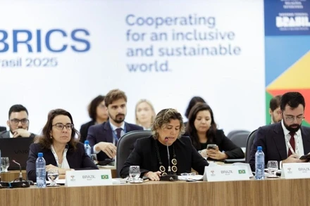 Hội nghị BRICS về khí hậu và phát triển bền vững tại Brazil.
