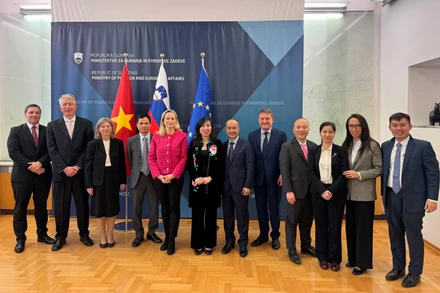 Thứ trưởng Lê Thị Thu Hằng tham vấn chính trị với Quốc vụ khanh Bộ Ngoại giao và các vấn đề châu Âu Slovenia Sanja Stiglic. (Ảnh BỘ NGOẠI GIAO)