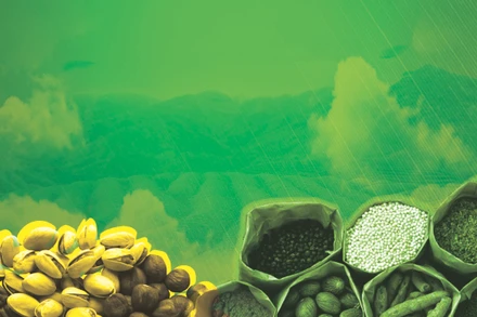 Minh bạch nguồn gốc tăng sức cạnh tranh cho nông sản Việt