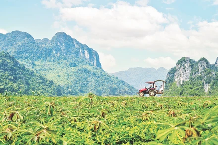Thúc đẩy phát triển du lịch xanh,bền vững