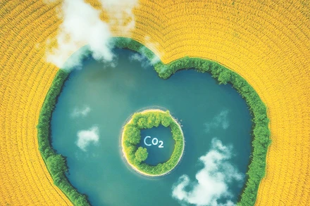 Tín chỉ carbon - Cơ hội và thách thức cho nông nghiệp