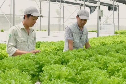 Sản xuất xanh, sản xuất sạch, ít phác thải đã trở thành xu thế không thể đảo ngược, gắn liền với nỗ lực giảm phát thải, phát triển bền vững của Việt Nam. 