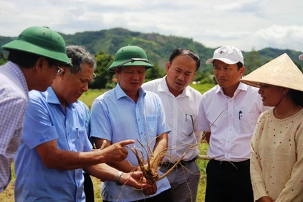 Đồng chí Bí thư Tỉnh ủy Lê Trường Lưu (thứ ba từ trái sang) kiểm tra các mô hình đầu tư giảm nghèo tại huyện miền núi A Lưới.
