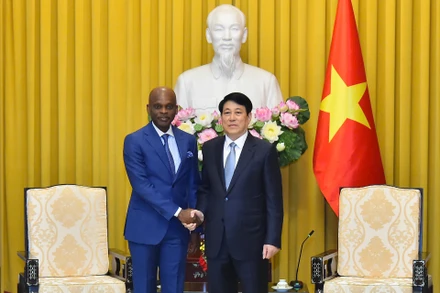 Chủ tịch nước Lương Cường tiếp Bộ trưởng Ngoại giao, Hội nhập khu vực và Kiều dân Cộng hòa Togo.
