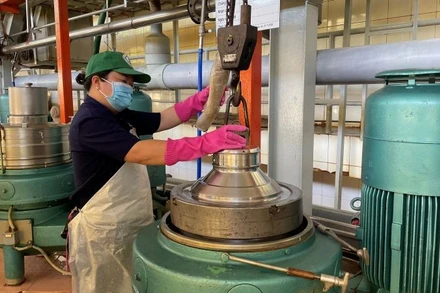 Công nhân chế biến cao-su la-tex tại Công ty Cổ phần cao su Tân Biên. 