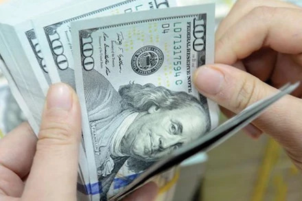 Kiều hối chuyển về Việt Nam là "nguồn lực vàng" để phát triển kinh tế-xã hội. (Ảnh tư liệu)