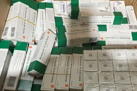 Lô hàng thuốc tân dược gồm gần 8.000 sản phẩm không hoá đơn, chứng từ.