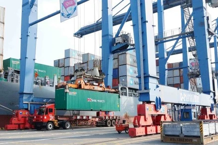 Bốc xếp hàng hóa xuất, nhập khẩu tại Cảng Cát Lái, thành phố Thủ Đức, Thành phố Hồ Chí Minh.