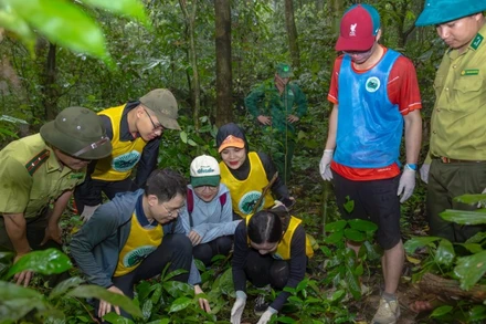 Du khách tham gia tour “Về nhà” tại Vườn quốc gia Cúc Phương.