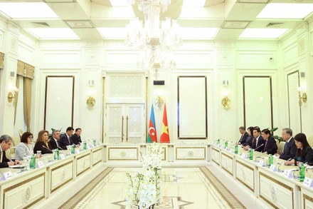 Tổng Bí thư Tô Lâm hội kiến Chủ tịch Quốc hội Azerbaijan Sahiba Gafarova. (Ảnh: Thống Nhất/ TTXVN)