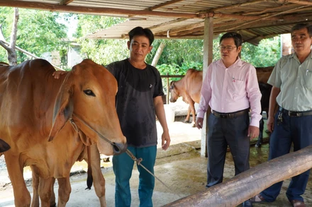 Đa dạng hoá sinh kế để giảm nghèo bền vững được xem là giải pháp hữu hiệu trong thực hiện Chương trình mục tiêu giảm nghèo bền vững trên địa bàn tỉnh.