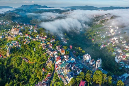 Đà Lạt, phố bên đồi. Ảnh: Nguyễn Tất Thắng