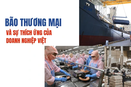 Bão thương mại và sự thích ứng của doanh nghiệp Việt Nam