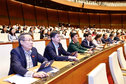 Các đại biểu Quốc hội biểu quyết thông qua luật, nghị quyết tại Kỳ họp thứ 8, Quốc hội khóa XV. (Ảnh: TTXVN)