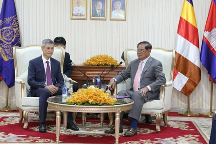 Đại sứ Nguyễn Minh Vũ (trái) chào xã giao Samdech Sar Kheng, Phó Chủ tịch CPP. (Ảnh: AKP)