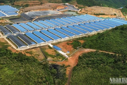 Qua công tác thanh tra, Sở Tài nguyên và Môi trường Đắk Nông đã tham mưu Chủ tịch Ủy ban nhân dân tỉnh quyết định xử phạt nhiều trại nuôi heo trên địa bàn vì vi phạm quy định bảo vệ môi trường.