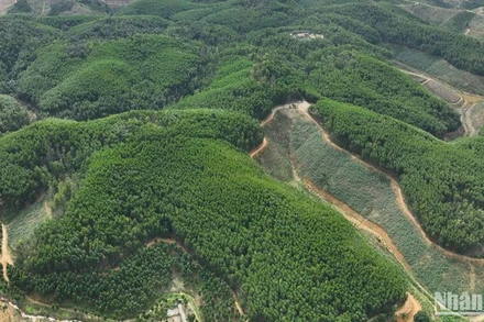 Quỹ Bảo vệ và Phát triển rừng tỉnh Đắk Nông sử dụng phương tiện Máy bay không người lái để theo dõi, quản lý dữ liệu về diện tích rừng chi trả DVMTR và trồng rừng thay thế