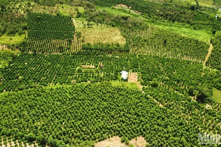 Luật Đất đai năm 2024 có nhiều điểm mới, tạo thuận lợi cho đối tượng sử dụng đất nông nghiệp được phép chuyển đổi mục đích, chuyển quyền sử dụng đất...