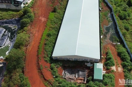 Năm 2023, Sở Tài nguyên và Môi trường Đắk Nông tiến hành kiểm tra phát hiện, xử phạt 14 hộ gia đình chăn nuôi heo với tổng số tiền 1,98 tỷ đồng, vì các hành vi vi phạm bảo vệ môi trường.