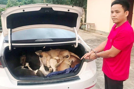 Đối tượng Ngô Bá Phát và tang vật.