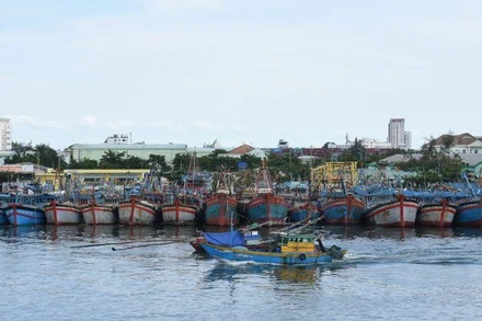 Tàu cá neo đậu tại Âu thuyền cảng cá Thọ Quang, Đà Nẵng.