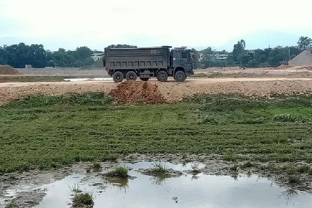 Mỗi ô tô chở 20m3 đất san lấp Dự án Khu đô thị Thăng Long ở phường Túc Duyên, thành phố Thái Nguyên, nhà thầu lỗ 800 nghìn đồng. 