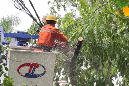 Công ty Điện lực Quảng Ngãi (thuộc Tổng công ty Điện lực miền trung-EVNCPC) đang phối hợp với các đơn vị, lực lượng chức năng khắc phục hậu quả bão số 4, nỗ lực sớm khôi phục cấp điện trở lại cho các khách hàng bị mất điện do bão. 