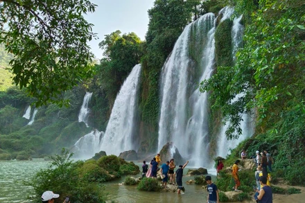 Lượng nước dồi dào đổ về đã tạo cảnh quan đẹp tại khu vực thác Bản Giốc.
