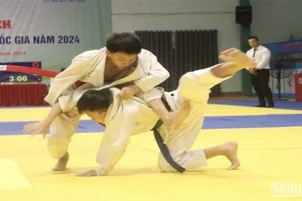 Một động tác kỹ thuật đẹp mắt trong môn Jujitsu.