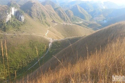 Một góc trong khu vực đồi cỏ cháy Ba Quáng.