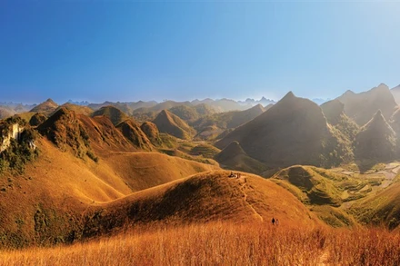 Đồi cỏ cháy Ba Quáng. (Ảnh: AC Thái Dương)