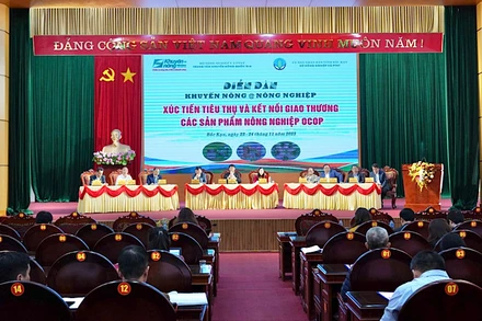 Hơn 200 đại biểu tham dự diễn đàn. (Ảnh: TUẤN SƠN)