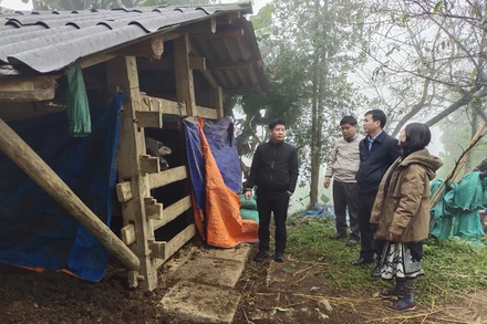 Lãnh đạo Sở Nông nghiệp và Phát triển nông thôn Bắc Kạn kiểm tra, đôn đốc phòng, chống rét cho gia súc tại huyện Ngân Sơn. (Ảnh: VI THÚY)