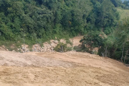 Đất, đá đổ trộm vùi lấp cây rừng tự nhiên. (Ảnh: NT)