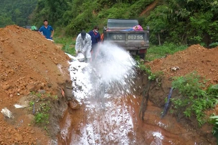 Tiêu hủy lợn bị dịch tả lợn châu Phi. (Ảnh: NGỌC TÚ).