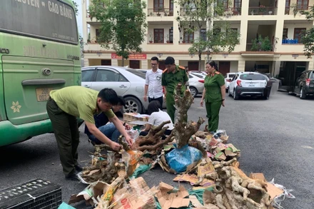 Lực lượng chức năng kiểm tra tang vật thu giữ trên xe khách. (Ảnh: Công an Bắc Kạn)