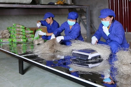 Người dân ở Côn Minh phơi miến dưới nắng tự nhiên. (Ảnh: NGỌC TÚ)