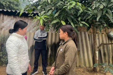 Chủ tịch Ủy ban Mặt trận Tổ quốc Việt Nam tỉnh Bắc Kạn Đỗ Thị Minh Hoa (hàng đầu, bên trái) rà soát nhu cầu hỗ trợ làm nhà tại cơ sở. (Ảnh: THU DỊU)