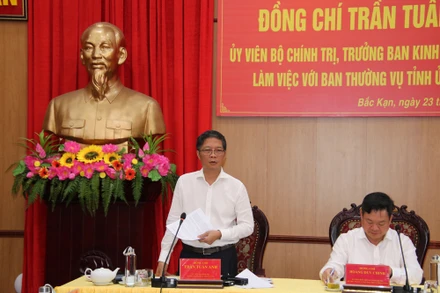 Đồng chí Trần Tuấn Anh phát biểu tại buổi làm việc. 