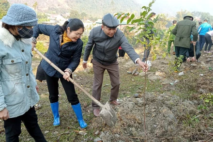 Lãnh đạo tỉnh Bắc Kạn tham gia trồng cây tại huyện Chợ Mới. (Ảnh: Lý Dũng)