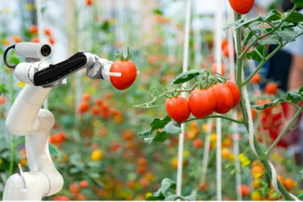 Robot hái trái cây, kết quả từ đề tài khoa học-công nghệ của Trường đại học Công nghệ - Đại học Quốc gia Hà Nội.