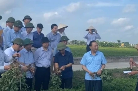 Cán bộ và người dân xã Yên Cường, huyện Ý Yên, tỉnh Nam Định trao đổi kinh nghiệm sản xuất nông nghiệp.