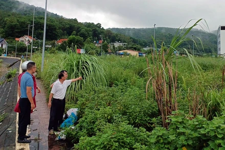 Người dân phản ánh về khu đất bị thu hồi nhưng nhiều năm vẫn bỏ hoang. 