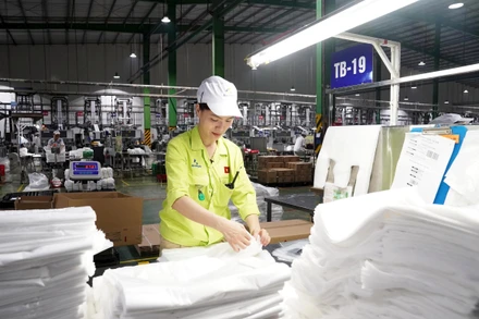 Sản xuất các sản phẩm thân thiện môi trường như túi, bao bì tự hủy... tại Công ty cổ phần Nhựa An Phát xanh, tỉnh Hải Dương. (Ảnh ĐĂNG ANH) 